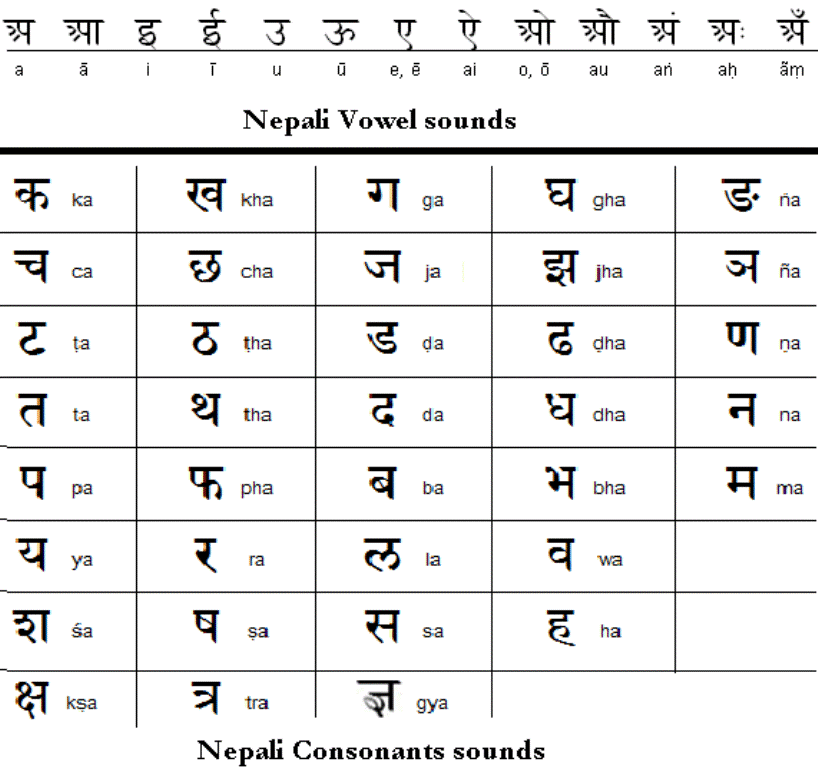 assignment meaning in nepali language